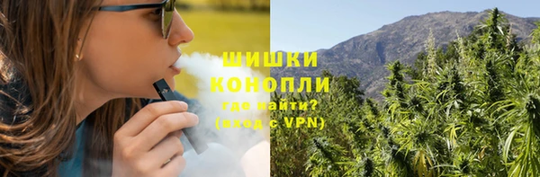 ПСИЛОЦИБИНОВЫЕ ГРИБЫ Абаза