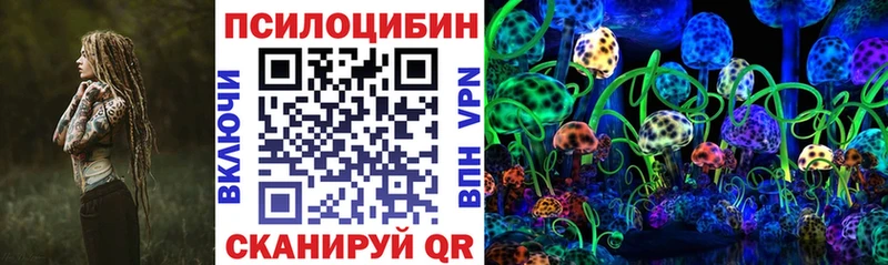 Псилоцибиновые грибы прущие грибы  Елизаветинская 